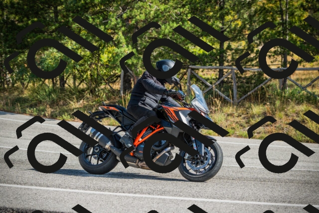 202510121144-DSC03929_c1_