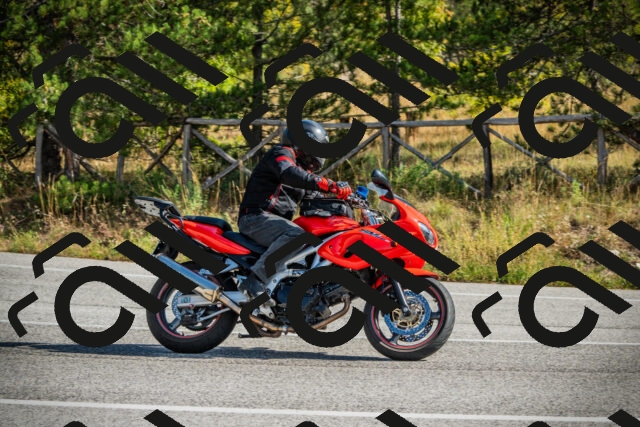 202510121144-DSC03931_c1_