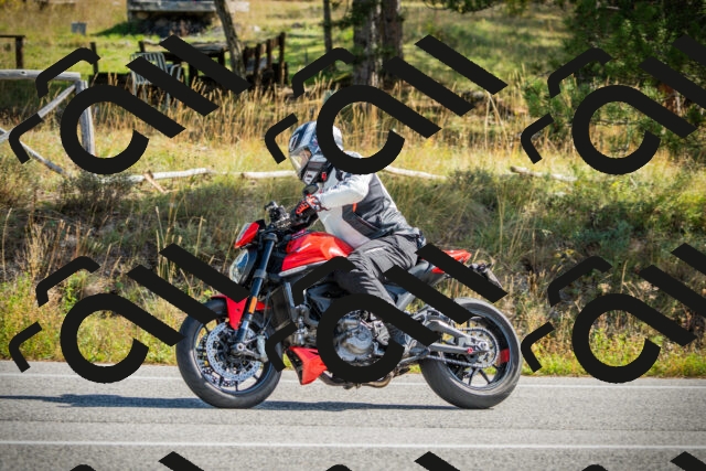 202510121145-DSC03936_c1_