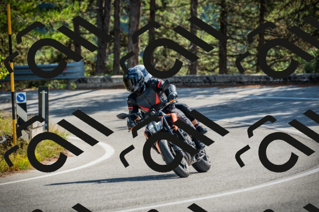 202510121146-DSC03940_c1_