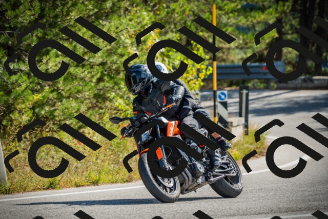 202510121146-DSC03941_c1_