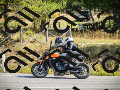 202510121146-DSC03942_c1_