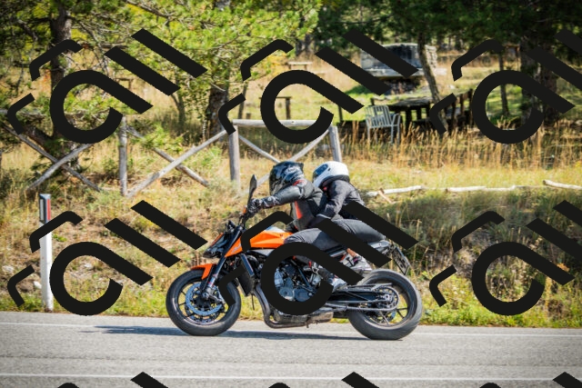 202510121146-DSC03942_c1_