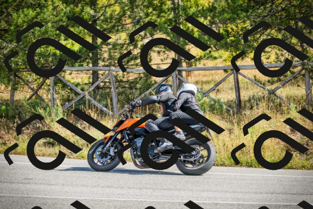 202510121146-DSC03943_c1_