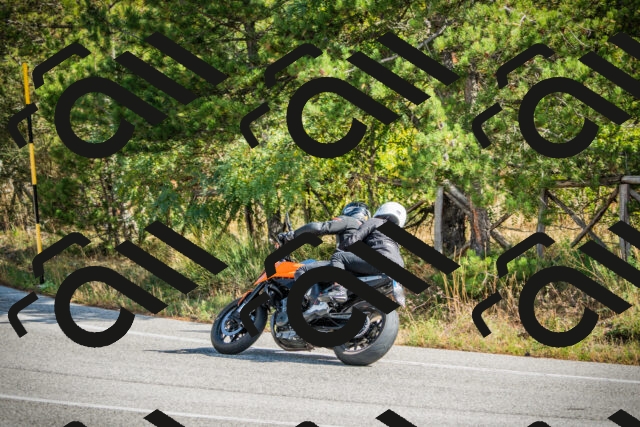 202510121146-DSC03944_c1_