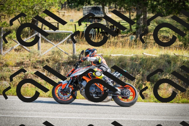 202510121149-DSC03947_c1_