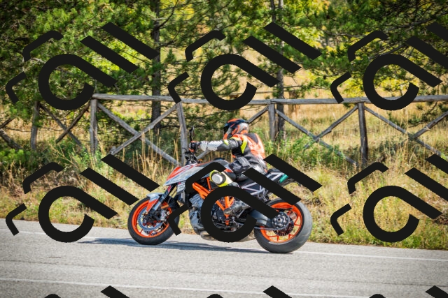 202510121149-DSC03948_c1_