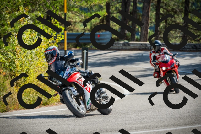 202510121149-DSC03951_c1_