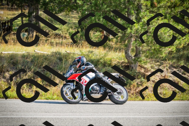 202510121149-DSC03952_c1_