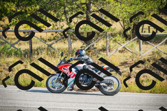 202510121149-DSC03953_c1_