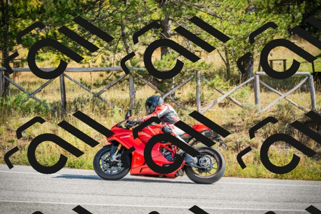 202510121149-DSC03955_c1_