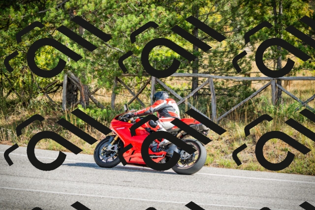 202510121149-DSC03956_c1_