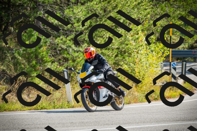 202510121149-DSC03957_c1_