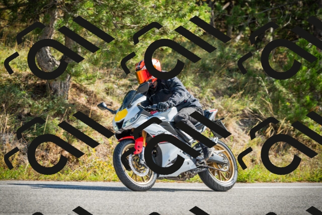 202510121149-DSC03958_c1_