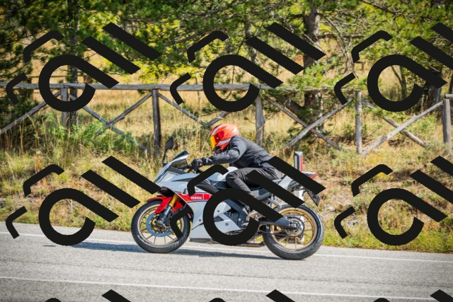 202510121149-DSC03959_c1_