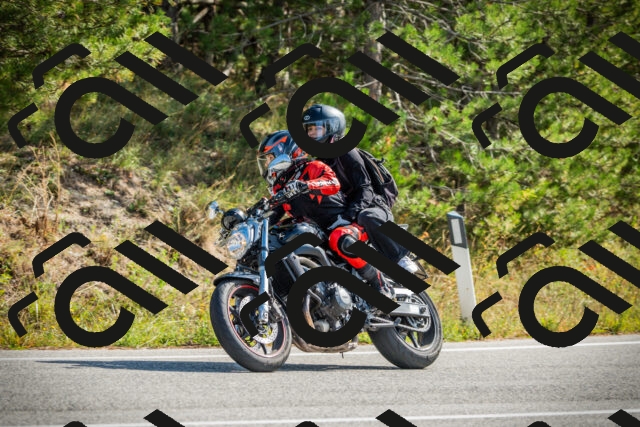 202510121150-DSC03962_c1_