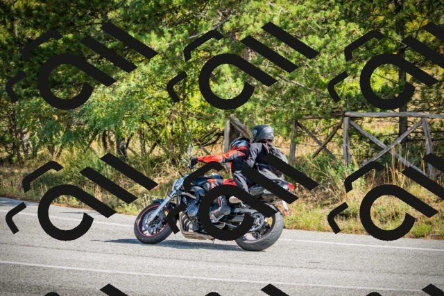 202510121150-DSC03964_c1_