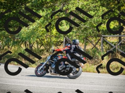 202510121150-DSC03964_c1_