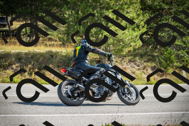 202510121151-DSC03974_c1_