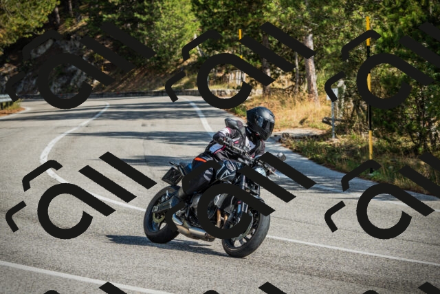 202510121151-DSC03977_c1_