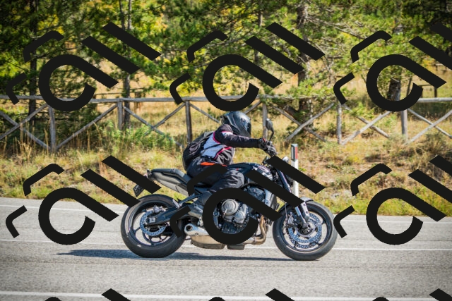 202510121151-DSC03978_c1_