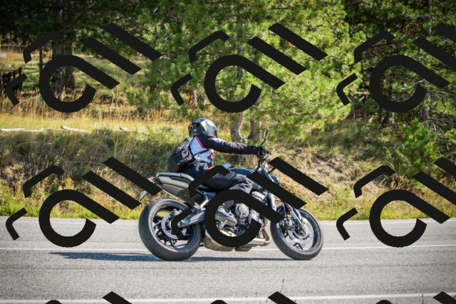 202510121151-DSC03979_c1_