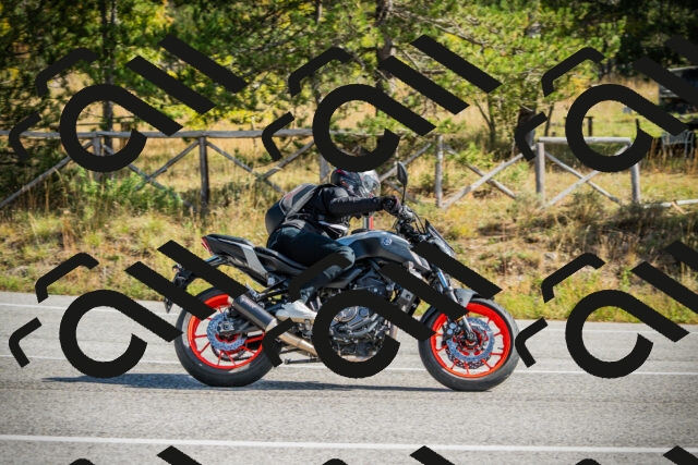 202510121151-DSC03980_c1_