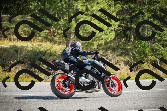 202510121151-DSC03981_c1_