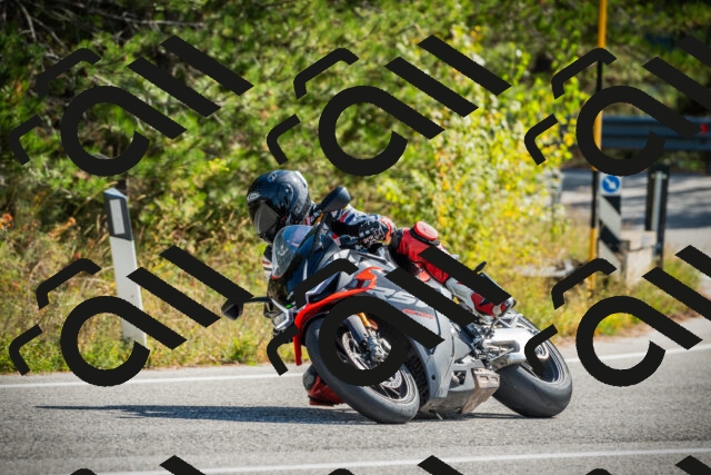 202510121152-DSC03986_c1_