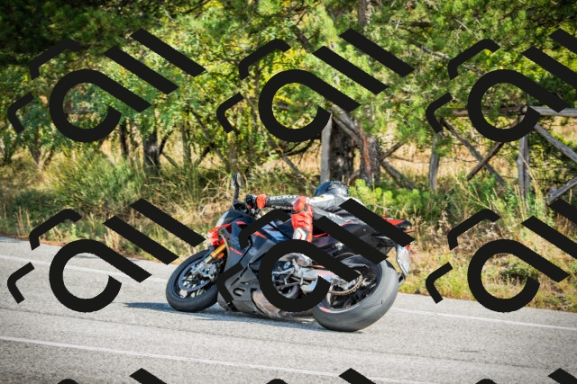 202510121152-DSC03988_c1_