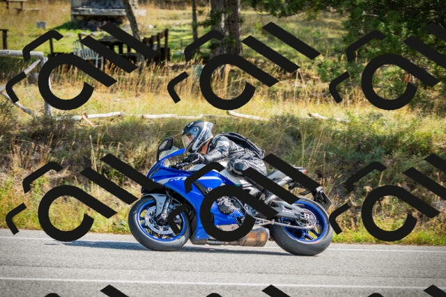 202510121153-DSC03997_c1_