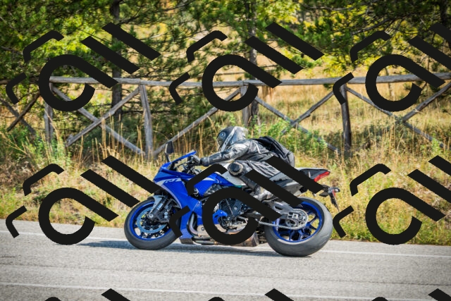 202510121153-DSC03998_c1_