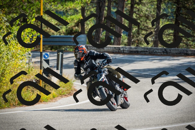 202510121153-DSC04000_c1_