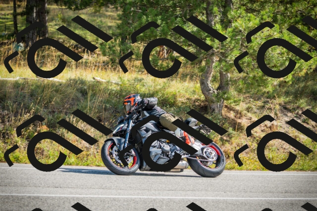 202510121154-DSC04001_c1_