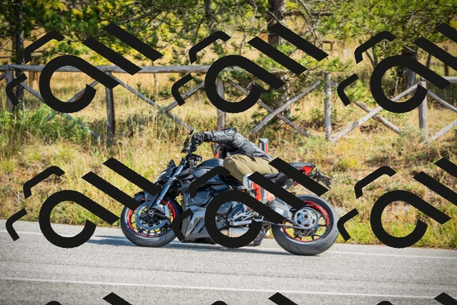 202510121154-DSC04002_c1_