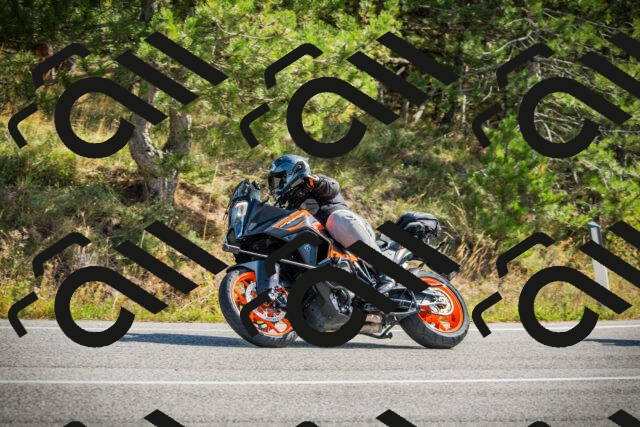 202510121154-DSC04004_c1_