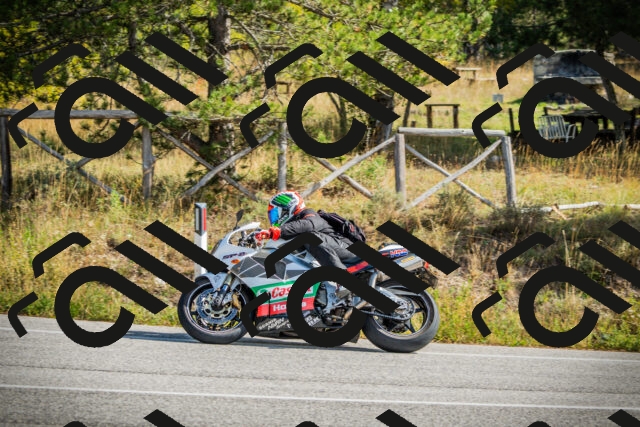 202510121154-DSC04007_c1_