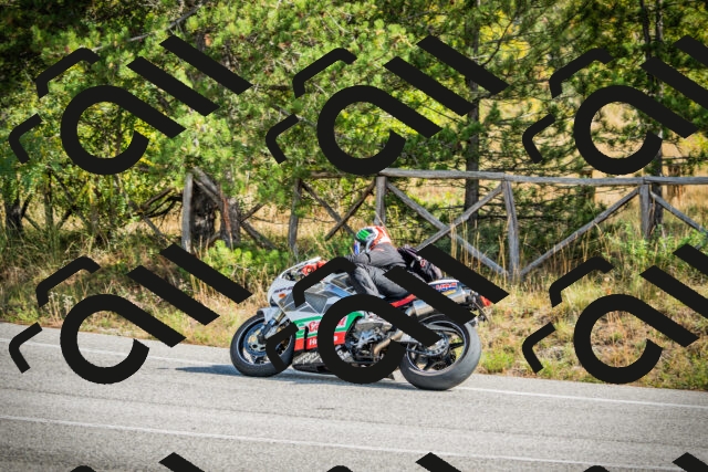 202510121154-DSC04008_c1_