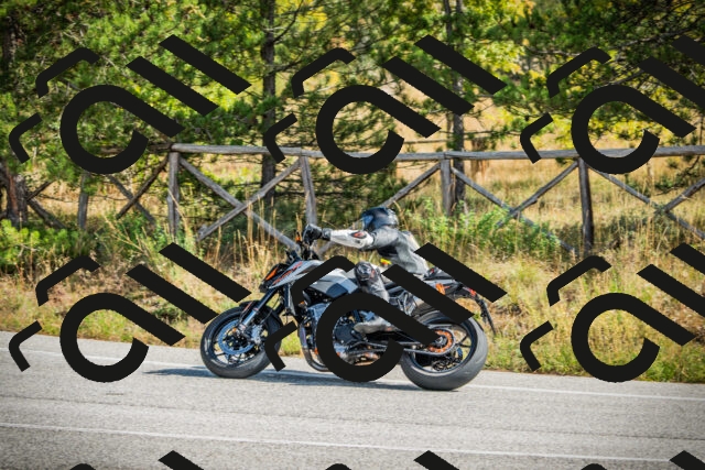 202510121154-DSC04013_c1_