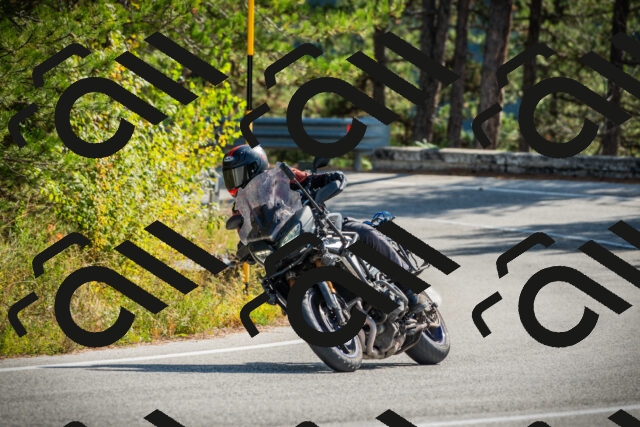 202510121154-DSC04016_c1_