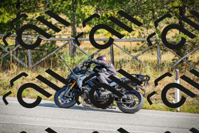 202510121154-DSC04018_c1_