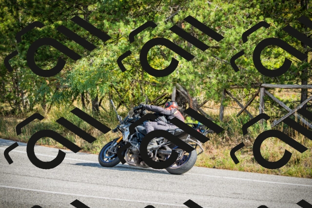 202510121154-DSC04019_c1_