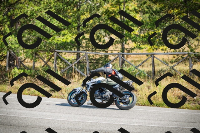 202510121154-DSC04023_c1_