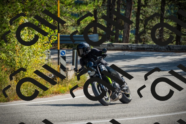 202510121155-DSC04026_c1_