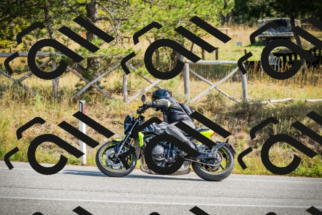 202510121155-DSC04027_c1_