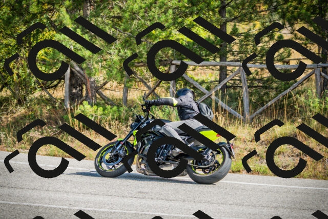 202510121155-DSC04028_c1_