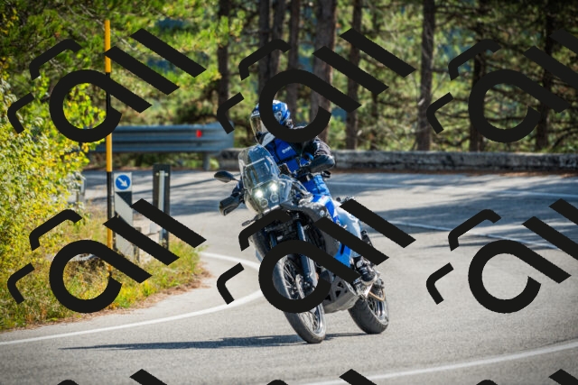 202510121155-DSC04031_c1_