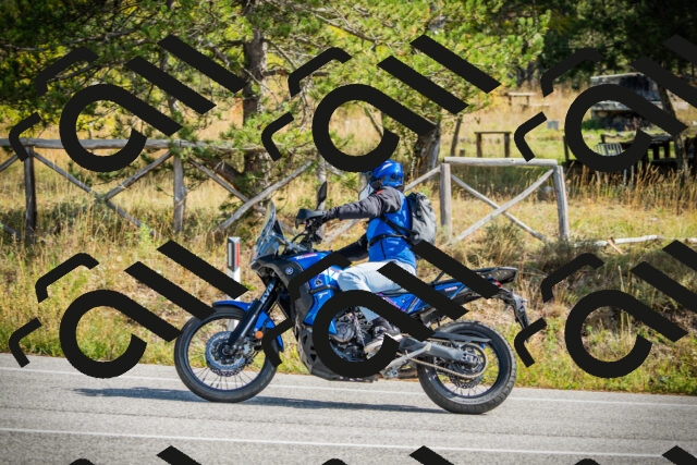 202510121155-DSC04033_c1_