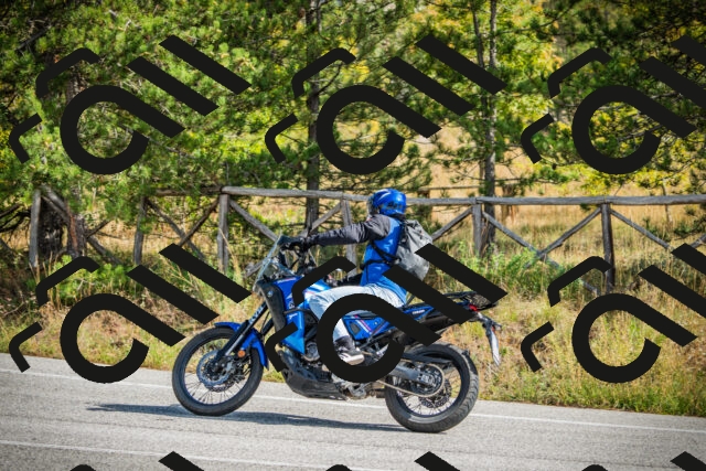 202510121155-DSC04034_c1_