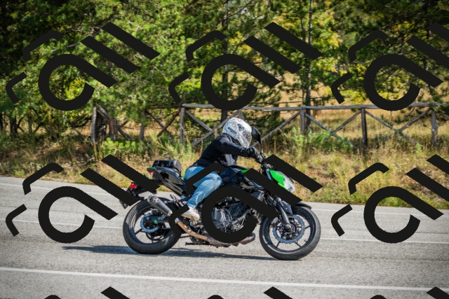 202510121158-DSC04049_c1_